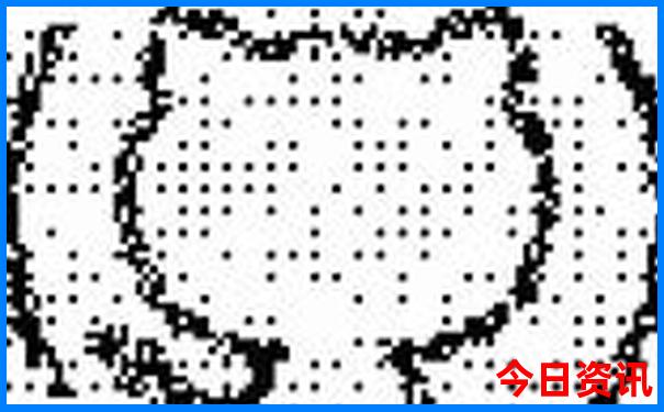 峨眉旅游攻略景点必去